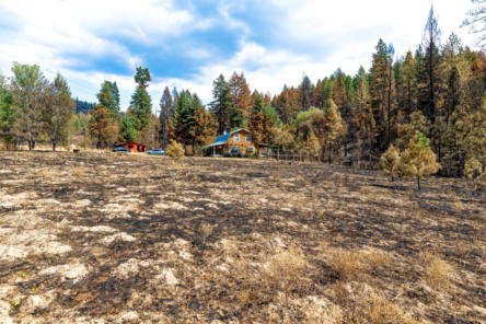 west of house looking east